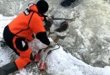В Вологодской области рыбак на снегоходе провалился под лед и утонул