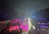 Четыре человека пострадали в массовой аварии на трассе М-8 под Грязовцем