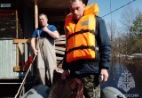 Три десятка дачных участков затопило в результате паводка в Вологодской области