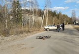 В Вологодской области пьяный автомобилист сбил пожилую велосипедистку