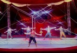 Цирковое шоу Владимира Дерябкина — портал в беззаботное детство 