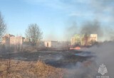 Жуткая стена огня и дым до небес: жители «Зеленого города» в ужасе второй год подряд