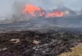 Появились подробности огненной стихии на Вологодчине: сгорели 14 домов и 20 га сухостоя