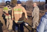 Появились подробности огненной стихии на Вологодчине: сгорели 14 домов и 20 га сухостоя