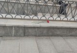 В Москве уничтожили стихийный мемориал Владлена Татарского: никто не был против…