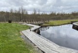 Сколько стоит арендовать на лето коттедж в Вологодской области?