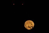 Вологжане дождались «Цветочной луны» и делятся фото в социальных сетях