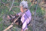 Пропавшую 76-летнюю пенсионерку Галину Веселову нашли живой и невредимой в шекснинском лесу