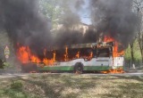 В Вологде на улице Ловенецкого загорелся автобус