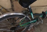 Владелец велосипеда в подъезде Череповца обнаружил на нем притаившуюся гадюку