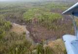 Сгорело 14 гектаров: в Вологодской области потушен самый крупный лесной пожар