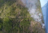 Сгорело 14 гектаров: в Вологодской области потушен самый крупный лесной пожар