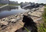 Кошка Помпа из Кириллова стала новым членом первого кошачьего отряда МЧС России
