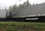 Два человека пострадали в массовой аварии с участием грузовиков и легковушки на трассе А-114 в Вологодской области