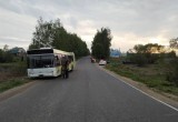 В Вологодской области автобус сбил ребенка на велосипеде