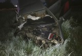 В жестоком ДТП на трассе «Вологда-Ростилово» погибли два человека