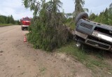 Появились подробности смертельного ДТП на Вологодчине: у водителя и пассажира шансов не было…