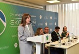 Более 850 млн рублей внебюджетных средств привлечено в Вологде для реализации проектов по устойчивому развитию и экологии