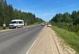 30-летняя автоледи чуть не убила в ДТП двух 3-летних мальчиков на трассе в Вологодской области