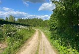 В Вологодской области 70-летний водитель мотоблока попал в ДТП и….