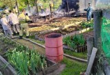 В Вологодской области в результате пожара сгорел домик для зимовки пчел