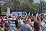 Множество вологжан станцевали под "Ягоду-малинку" на флешмобе от портала "Вологда-поиск"!