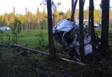 Житель Вологодской области на "Шевроле" вылетел с трассы и застрял в деревьях