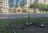 Улица с душком: Ленинградскую вновь затопило нечистотами