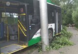 На один новый троллейбус в Вологде стало меньше: серьезное ДТП сократило парк «рогатого транспорта»