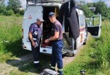 Из реки Тошня спасатели вытащил труп 40-летнего вологжанина