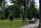 В Вологодской области правоохранители заинтересовались  детьми-убийцами: им грозит…