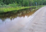 Серьезное ЧП в Вологодской области: села и деревни уходят под воду прямо сейчас 