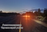 Молодой водитель иномарки насмерть сбил лося на федеральной трассе в Вологодской области