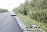 В Вологодской области "Мицубиси" вылетел в кювет и перевернулся: пострадали две пассажирки