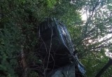 В Вологодской области "Мицубиси" вылетел в кювет и перевернулся: пострадали две пассажирки