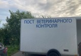 В Череповецком районе, где произошла вспышка птичьего гриппа, ждут дополнительную бригаду ветеринаров