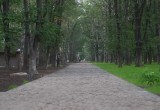 Благоустройство парка Ветеранов в Вологде уже выполнено на 50%
