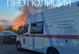 В Вологодской области серьезный пожар, который ликвидируют прямо сейчас