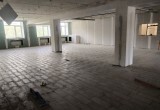 Бывший пионерский лагерь &laquo;Дружба&raquo; в Вологодском районе в процессе восстановления: уникальные фото