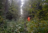 74-летний пенсионер провел более 48 часов в лесу, пока его не спасли