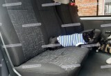 Кот-спасатель Беляш вернулся на службу после больничного