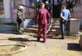 В Вологде загорелась общественная баня на Советском проспекте