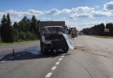 Трое взрослых и двое детей пострадали в жестком ДТП на трассе "Москва-Архангельск" в Вологодской области