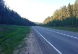 В Вологодской области странный водитель направил свои «Опель» в кювет и там разбился