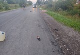 В Вологодской области час назад неизвестный водитель расправился с женщиной и сбежал