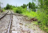 В Вологодской области двое приятелей украли рельсы с участка железной дороги