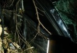 В Вологодской области сегодня ночью иномарка вылетела в кювет: один погибший, трое пострадавших