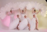 Вологжане смогут отдохнуть от трудовых будней в замечательной компании артистов шоу-балета