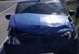 Из-за дерзкого старичка на РАВ-4 пострадали двое 22-летних жителей Вологды
