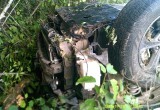 В Вологодской области в кювете погиб 18-летний водитель перевернувшегося автомобиля